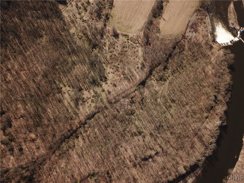 Shells Bush Road Herkimer, NY 13350 - Photo 8 of 10