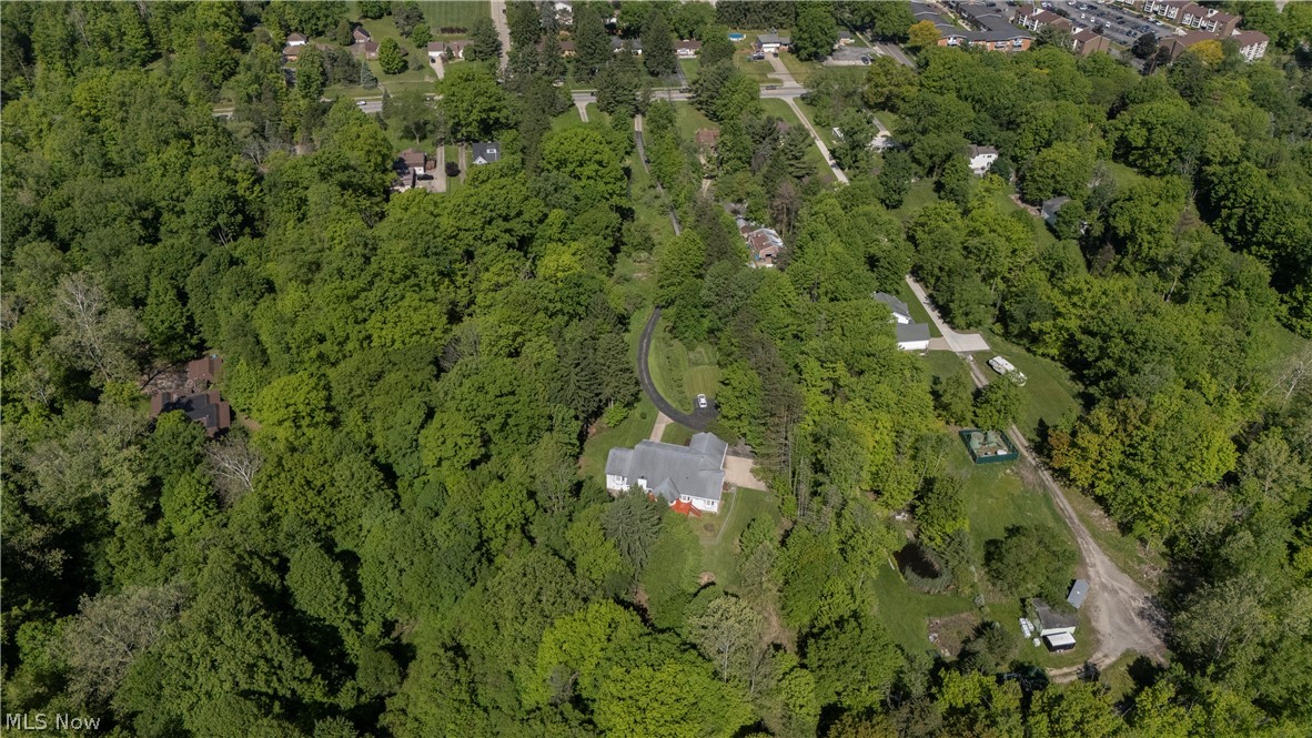 8745 Broadview Road Broadview Heights, OH 44147 - Photo 48 of 49 Aerial perspective showcasing a property surrounded by mature trees, featuring a paved driveway, detached garage, and a large, verdant lot