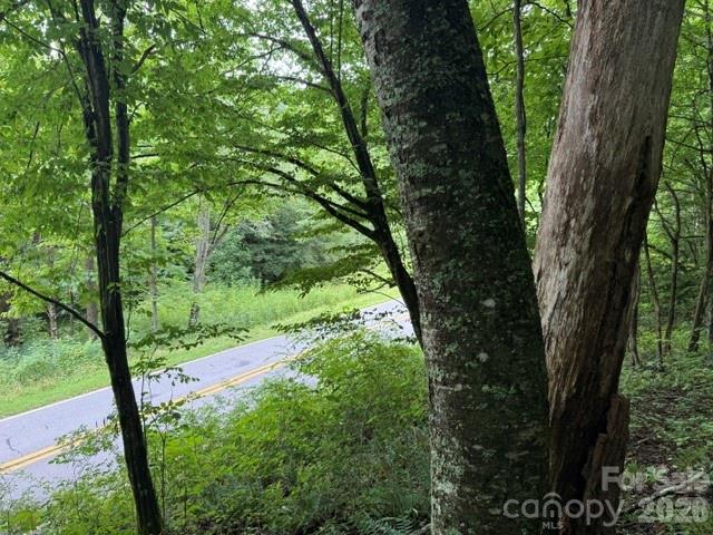Tbd Meadow Fork Road Hot Springs, NC 28743 - Photo 8 of 20