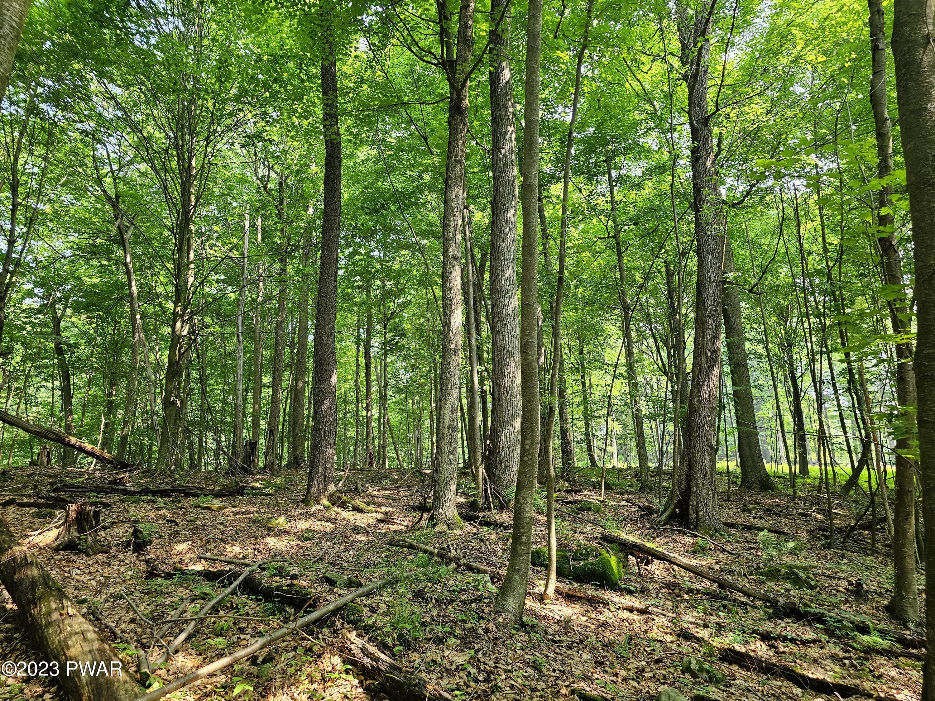 Lot 61 Rock Run Road Damascus, PA 18415 - Photo 11 of 56