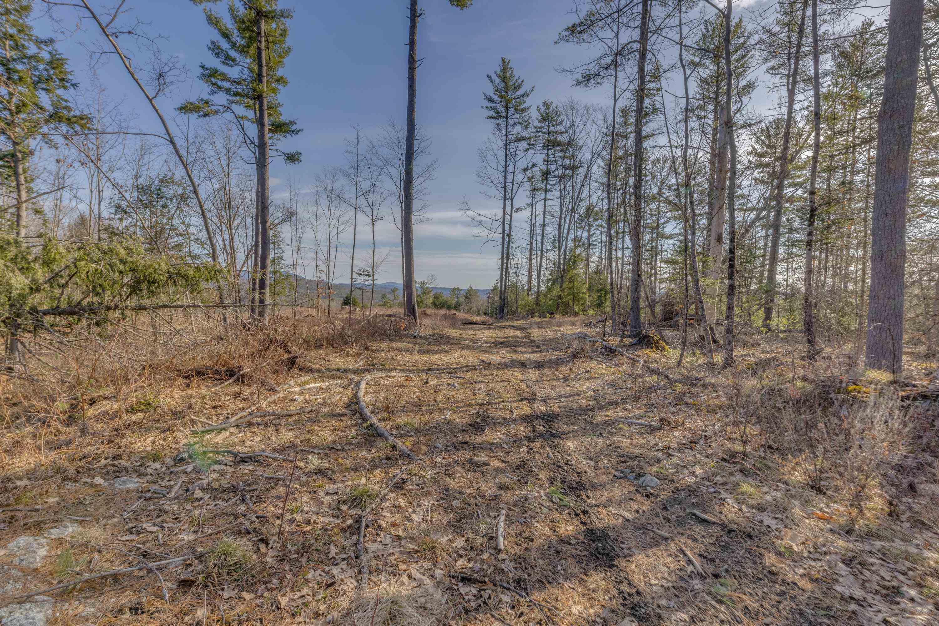 0 Ash Hill Road Lyman, NH 03585 - Photo 8 of 36