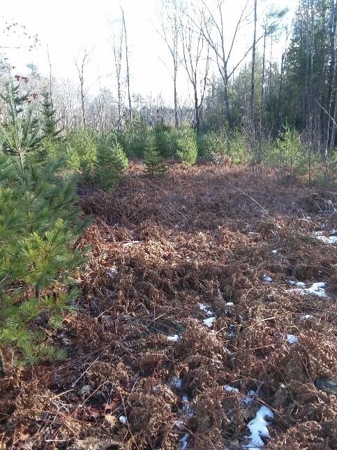 Tbd Leeds Road Wayne, ME 04284 - Photo 3 of 5 Veiw of lot