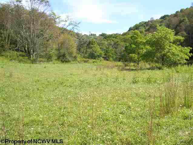 0 Pennington Road Dryfork, WV 26263 - Photo 8 of 10 Gallery Image 8