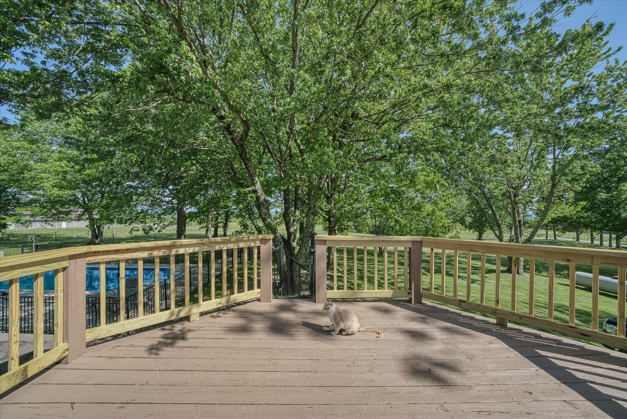 1465 Bob Sapp Road Pikeville, TN 37367 - Photo 36 of 60 Gallery Image 36