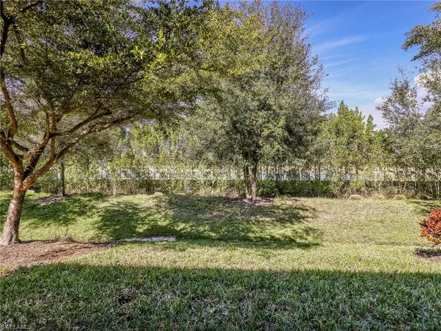 a view of a yard with an trees