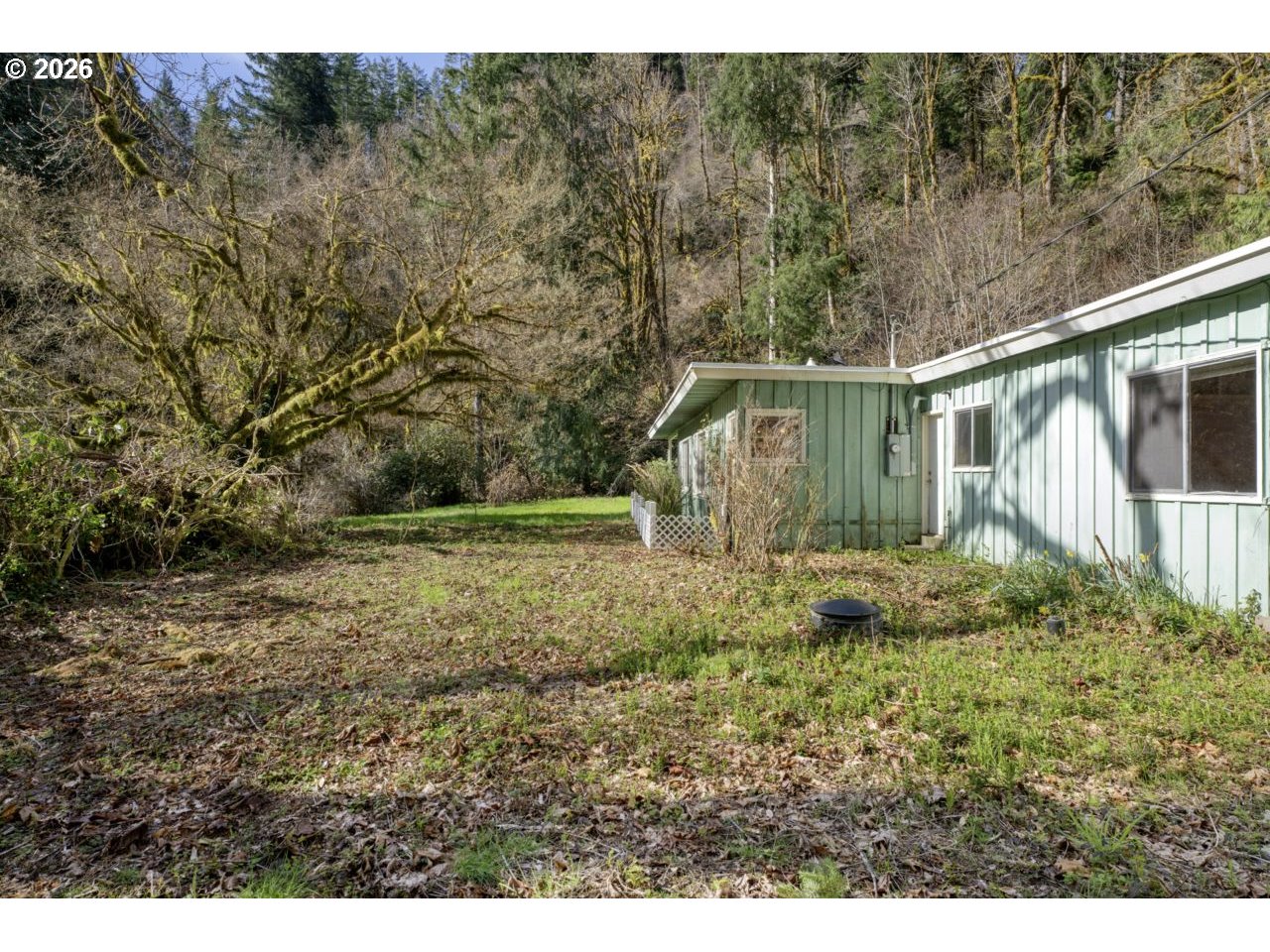 90136 Green Creek Road Swisshome, OR 97480 - Photo 5 of 42 a backyard of a house with lots of green space