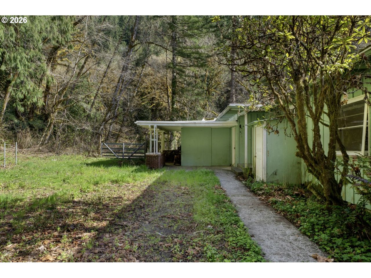 90136 Green Creek Road Swisshome, OR 97480 - Photo 6 of 42 a backyard of a house with plants and trees