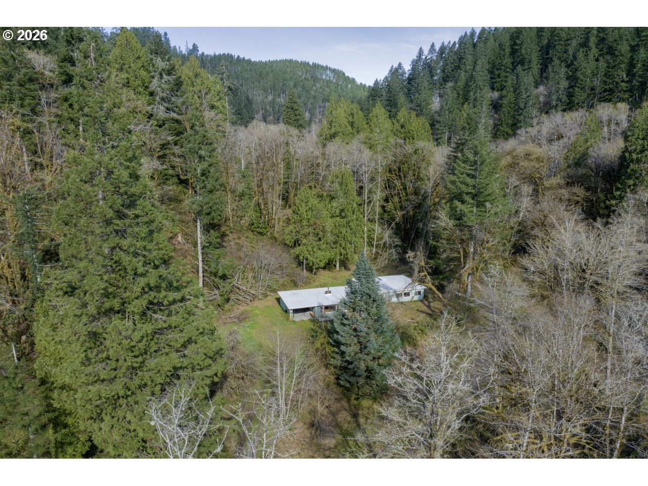 90136 Green Creek Road Swisshome, OR 97480 - Photo 8 of 42 a view of a forest with a street