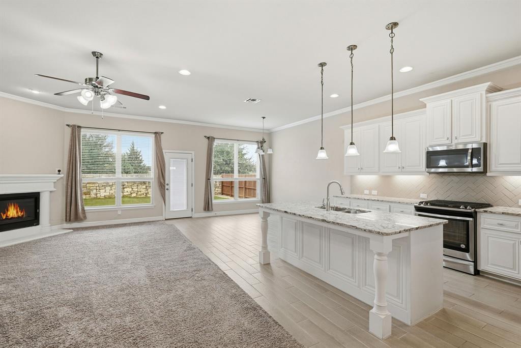 513 Mistflower Springs Drive Leander, TX 78641 - Photo 3 of 19