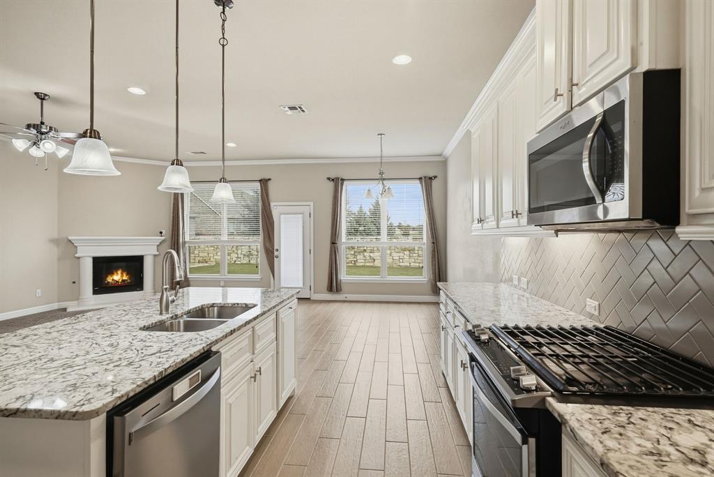 513 Mistflower Springs Drive Leander, TX 78641 - Photo 5 of 19