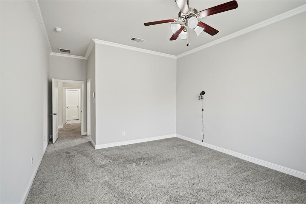 513 Mistflower Springs Drive Leander, TX 78641 - Photo 9 of 19