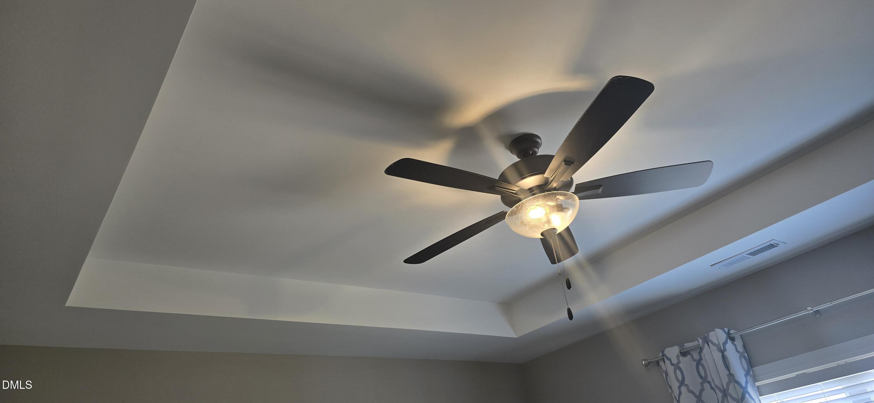 253 Fellowship Church Road Princeton, NC 27569 - Photo 10 of 33 Tray Ceiling