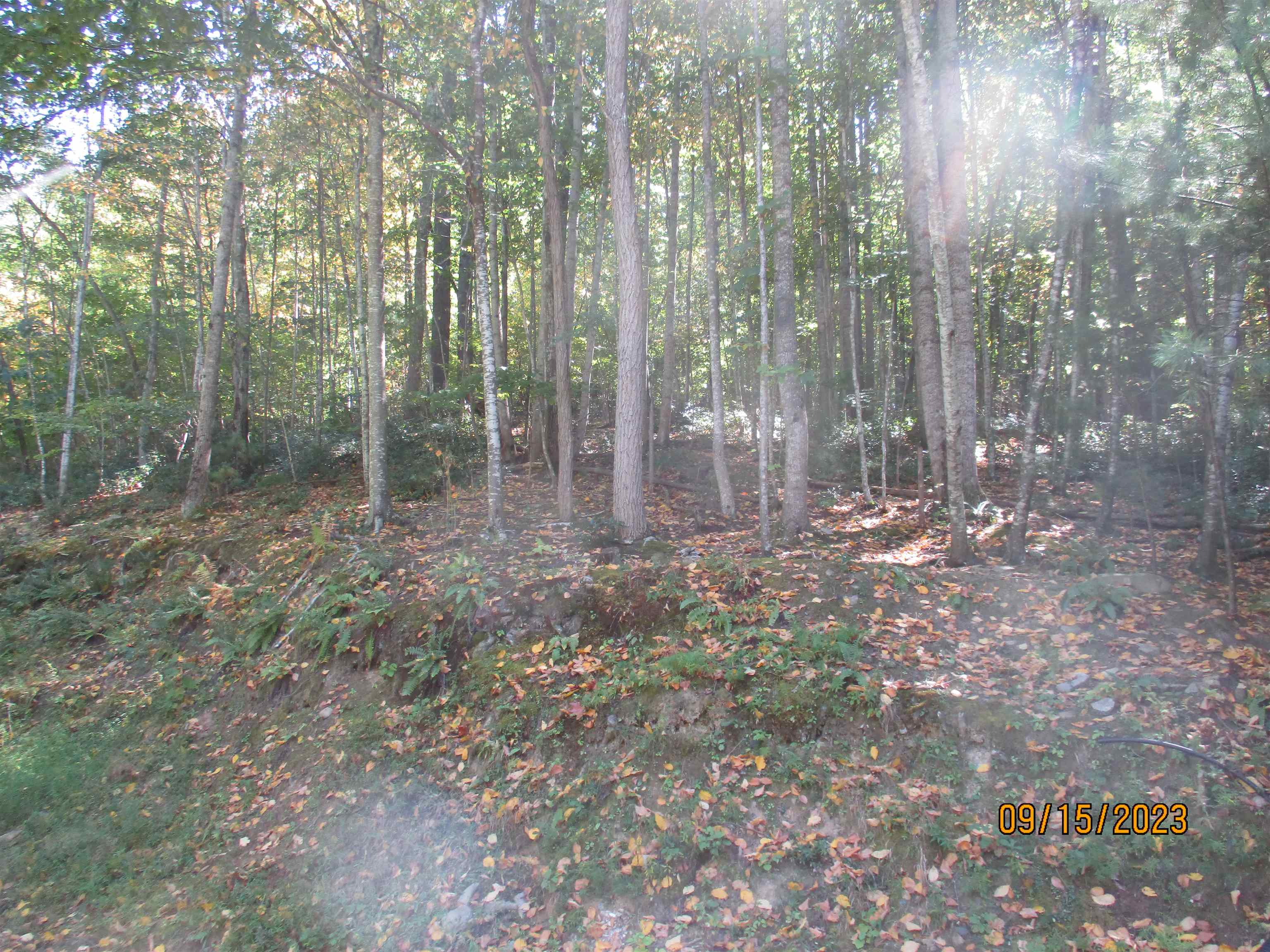 4805 Fox Mountain Road Crozet, VA 22932 - Photo 13 of 21 Gallery Image 13