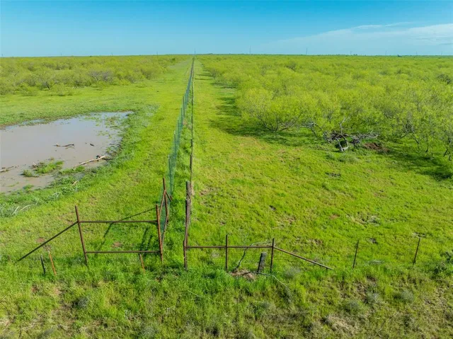 a view of an ocean from a yard