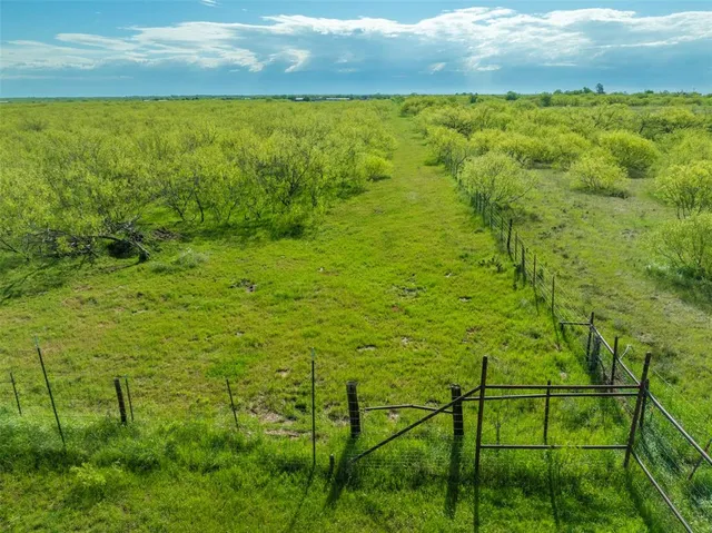 a view of a yard with an outdoor space
