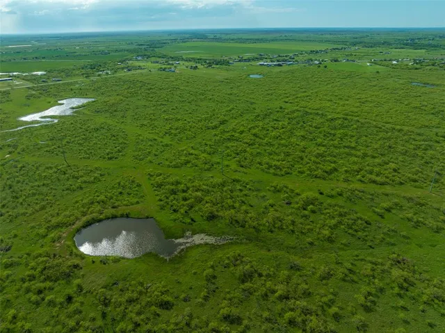 a view of a lush green space