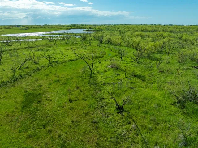 a view of a field with an ocean