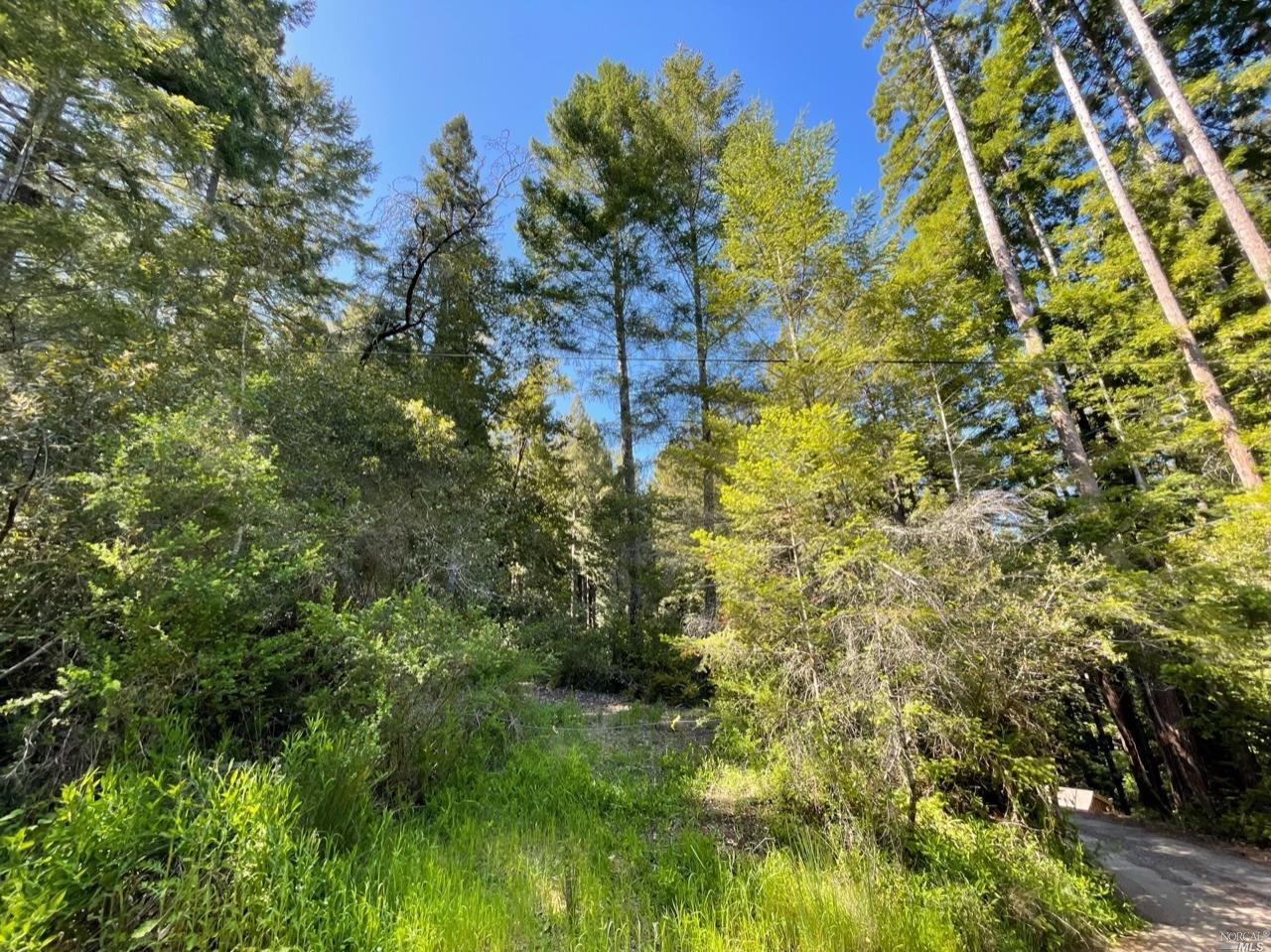 8235 Tyrone Road Monte Rio, CA 95462 - Photo 1 of 1 Gallery Image 1
