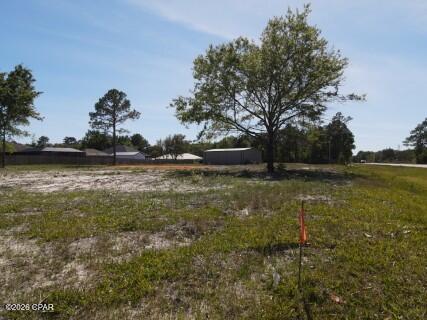 A A State Freeport, FL 32439 - Photo 2 of 10