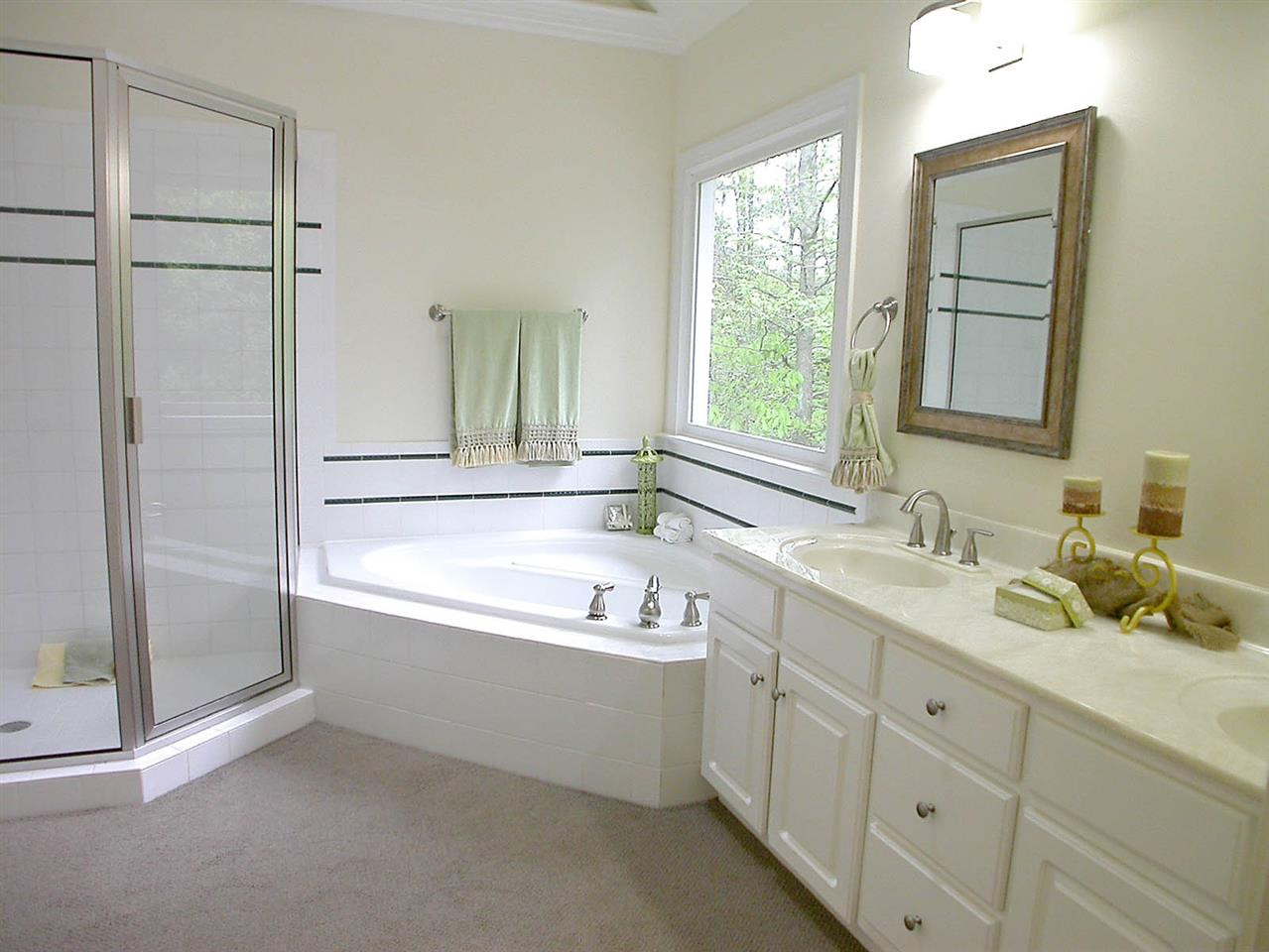 705 Porchlamp Court Raleigh, NC 27615 - Photo 15 of 25 Your private retreat with jetted tub, oversized tile shower, vaulted ceiling & skylights. Master Bath/Spa