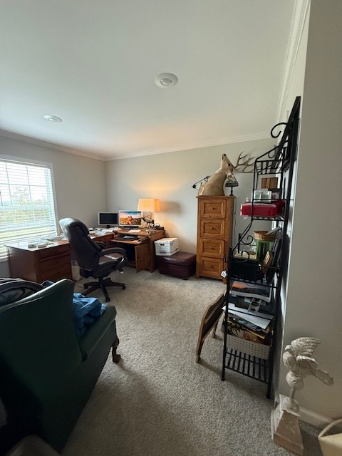 1750 Ridge Road Austinville, VA 24312 - Photo 33 of 53 Gallery Image 33