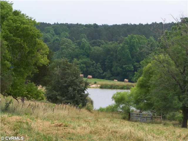 3408 Cottage Road Blackstone, VA 23824 - Photo 5 of 12 Land - 5467 FEET OF ROAD FRONTAGE ALONG COTTAGE RD. (RT 606)