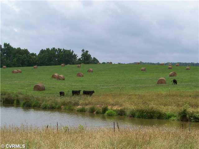 3408 Cottage Road Blackstone, VA 23824 - Photo 7 of 12 Land - PASTURE