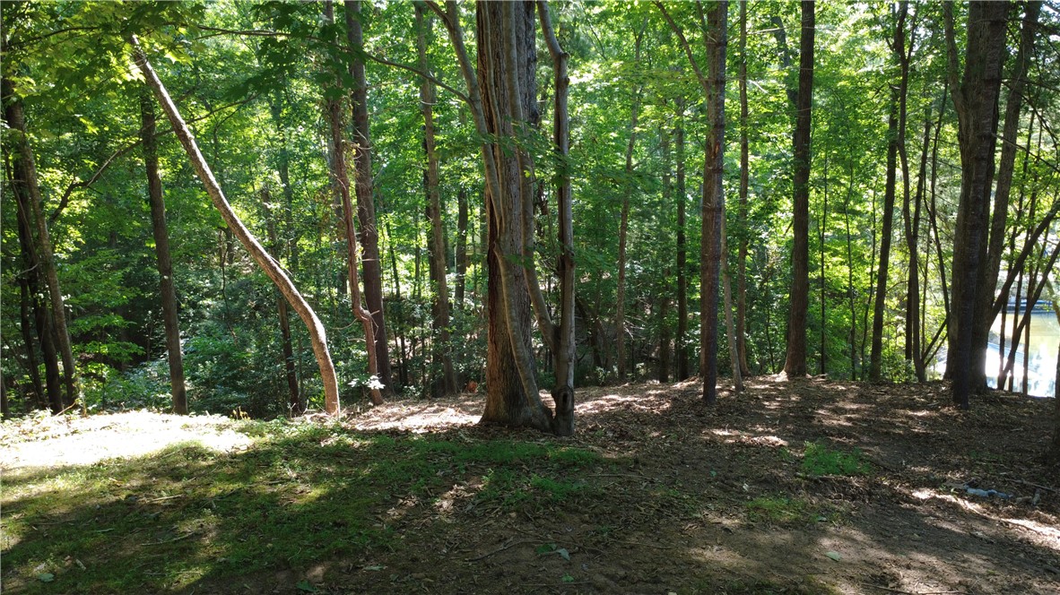 601 Wind Flower Drive Sunset, SC 29685 - Photo 5 of 11 Sunlight filters through towering hardwoods, creating a peaceful homesite where nature and the lake come together in perfect balance.