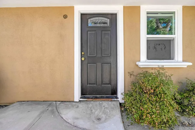 a view of a house with potted plants