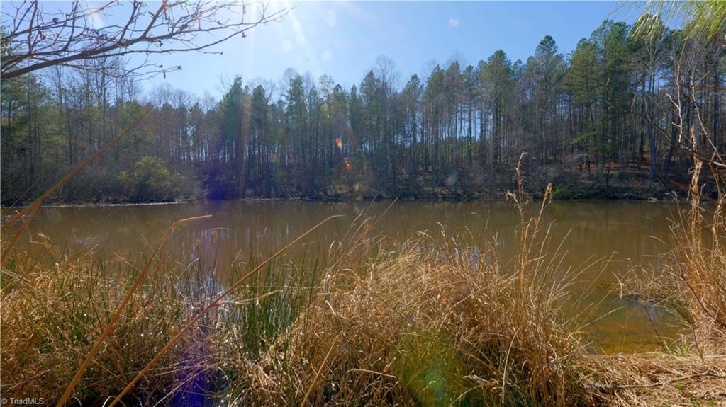 0 Sagebrush Road Ruffin, NC 27326 - Photo 26 of 50 Gallery Image 26