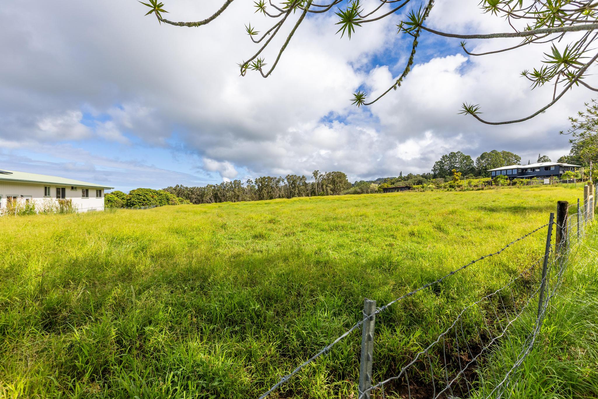 29-613 Lot Road Papaikou, HI 96781 - Photo 3 of 18