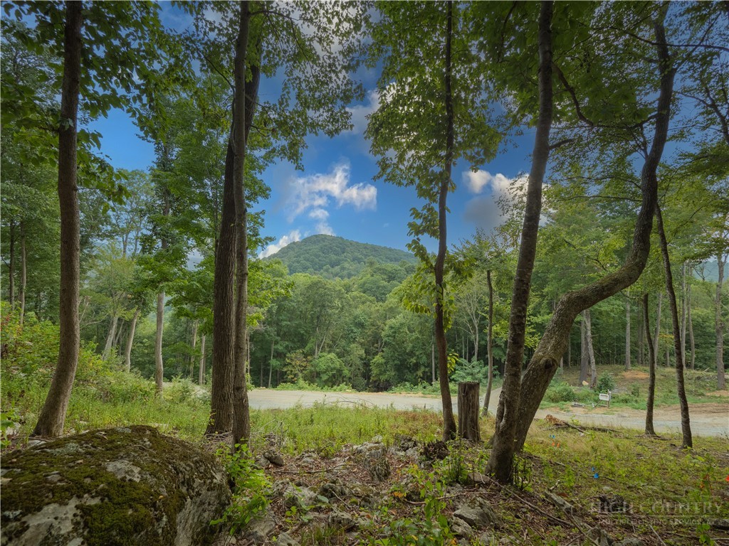C120 Springwater Lane Banner Elk, NC 28604 - Photo 5 of 13