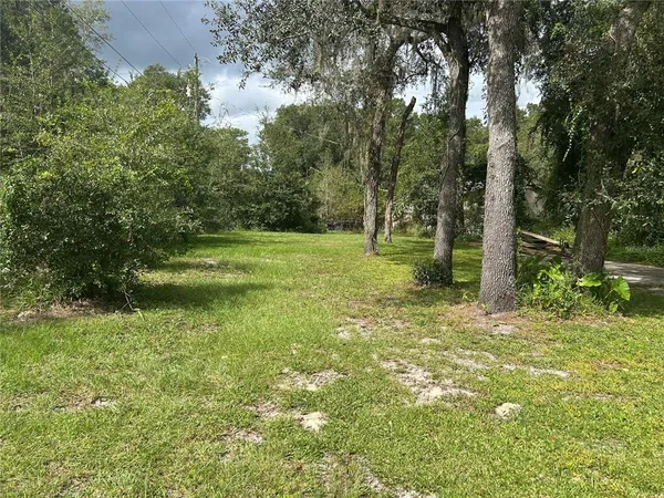 a big yard with lots of green space and trees