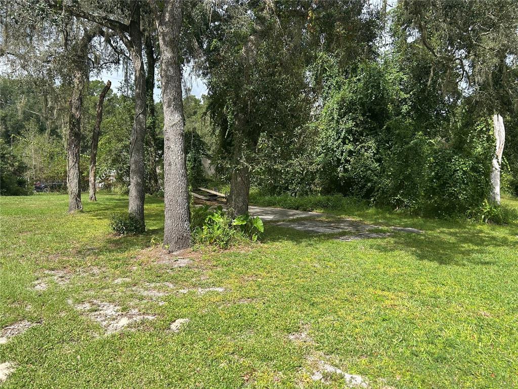 4014 Southwest 125th Avenue Webster, FL 33597 - Photo 2 of 7 a backyard of a house with lots of green space