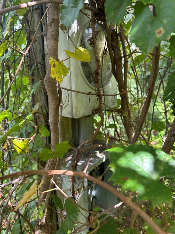 4014 Southwest 125th Avenue Webster, FL 33597 - Photo 5 of 7 a backyard of a house