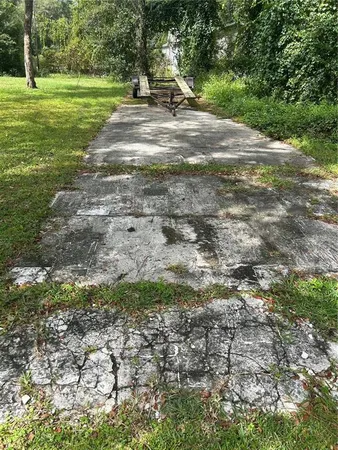 a view of a yard with a tree