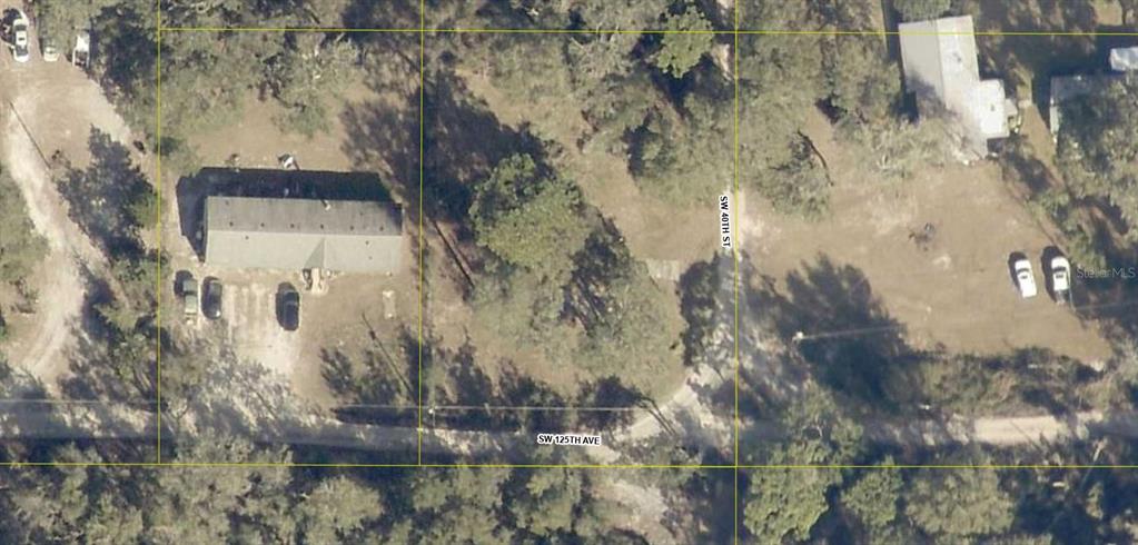 4014 Southwest 125th Avenue Webster, FL 33597 - Photo 7 of 7 a view of a tree in a yard