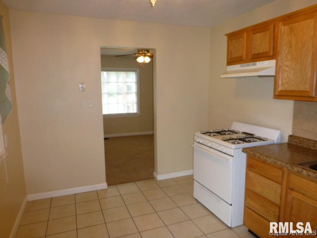 2308 South 14th Street Springfield, IL 62703 - Photo 6 of 12