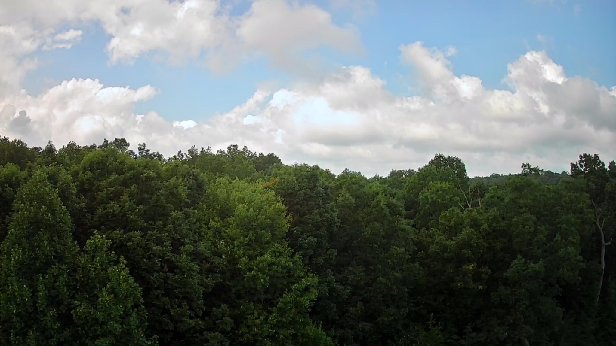 0 Ridge View Drive Spencer, TN 38585 - Photo 5 of 17 Gallery Image 5