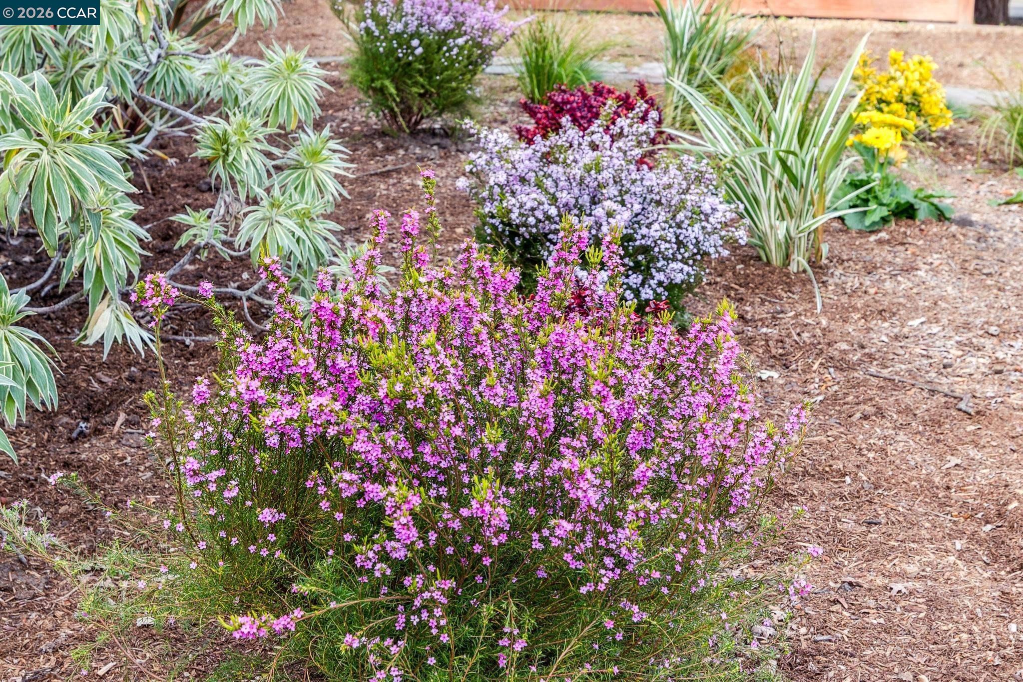 1651 Green Valley Road Danville, CA 94526 - Photo 6 of 60