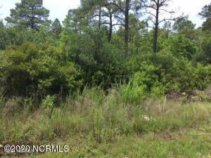 110 White Oak Road Rocky Point, NC 28457 - Photo 1 of 1 wooded lot