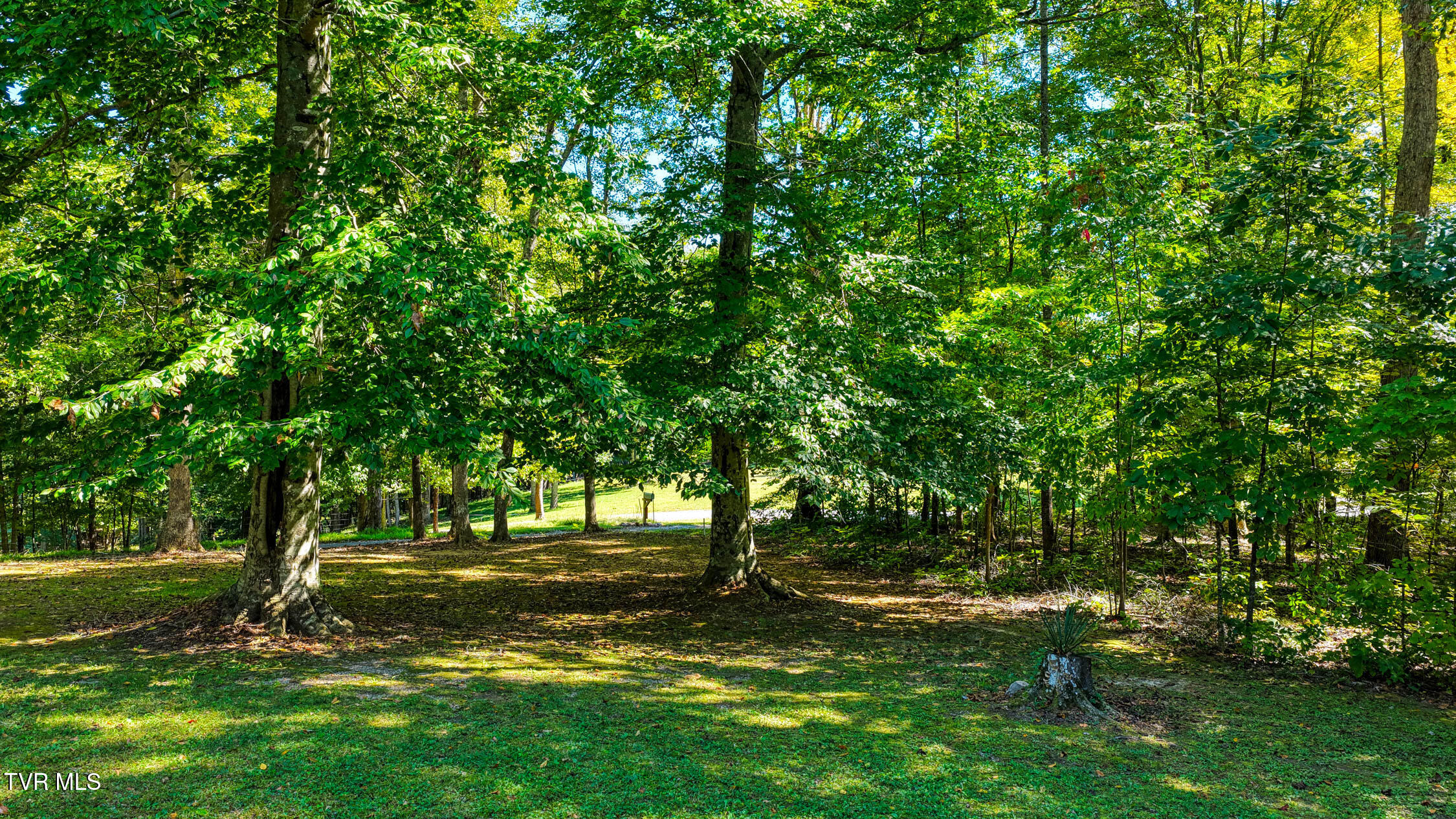 138 Lauderback Road Rogersville, TN 37857 - Photo 32 of 52 138 Lauderback. Rog MLSa (4 of 25)