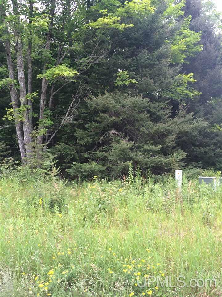 Tbd Angeli Road, Unit 18 Iron River, MI 49935 - Photo 1 of 7