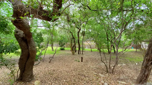 $2,800 | 9349 Blazing Star Trail, San Antonio, TX 78266