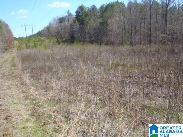 0 Shocco Springs Road, Unit 40 5 AC Talladega, AL 35160 - Photo 8 of 30