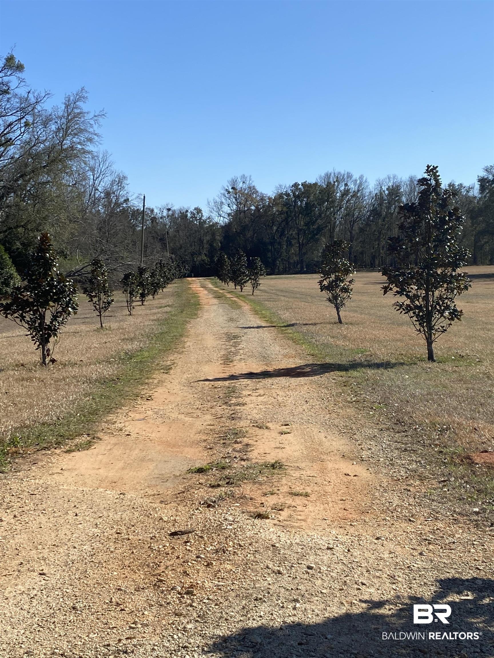 16431 Newman Road Summerdale, AL 36580 - Photo 5 of 43 Private Driveway