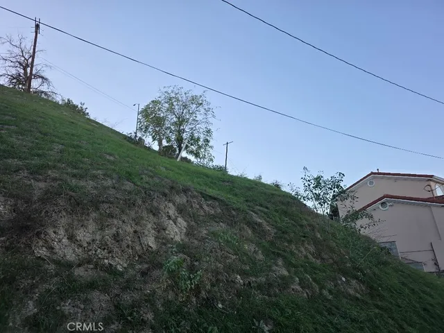 a view of a big yard with potted plants
