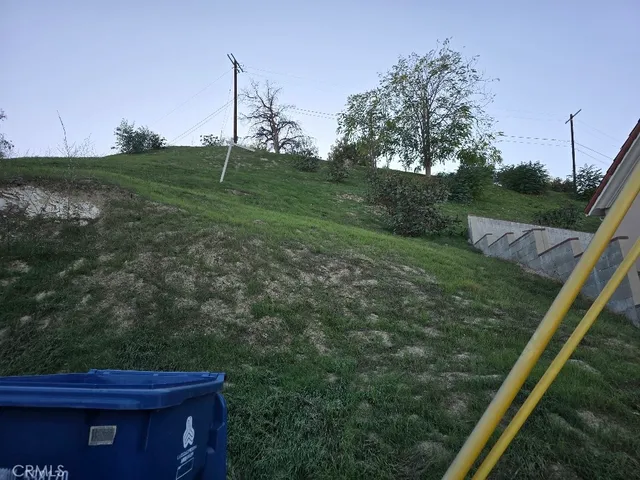 a view of a yard with a tree