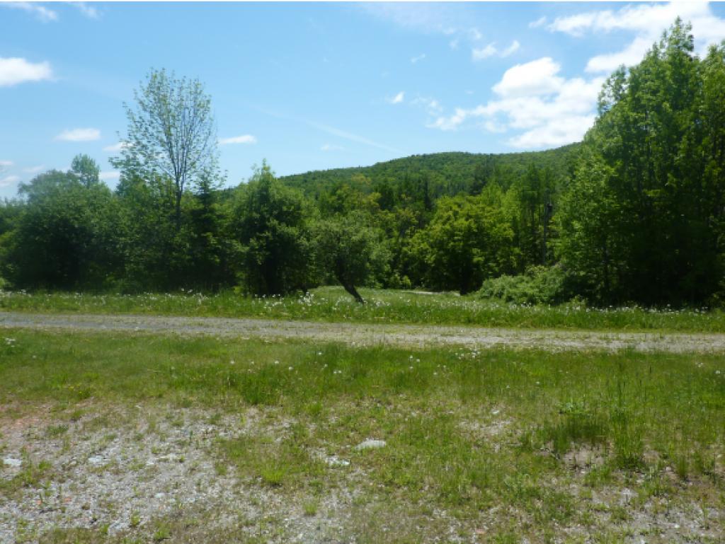 2078 Warren Mountain Road Roxbury, VT 05669 - Photo 4 of 5