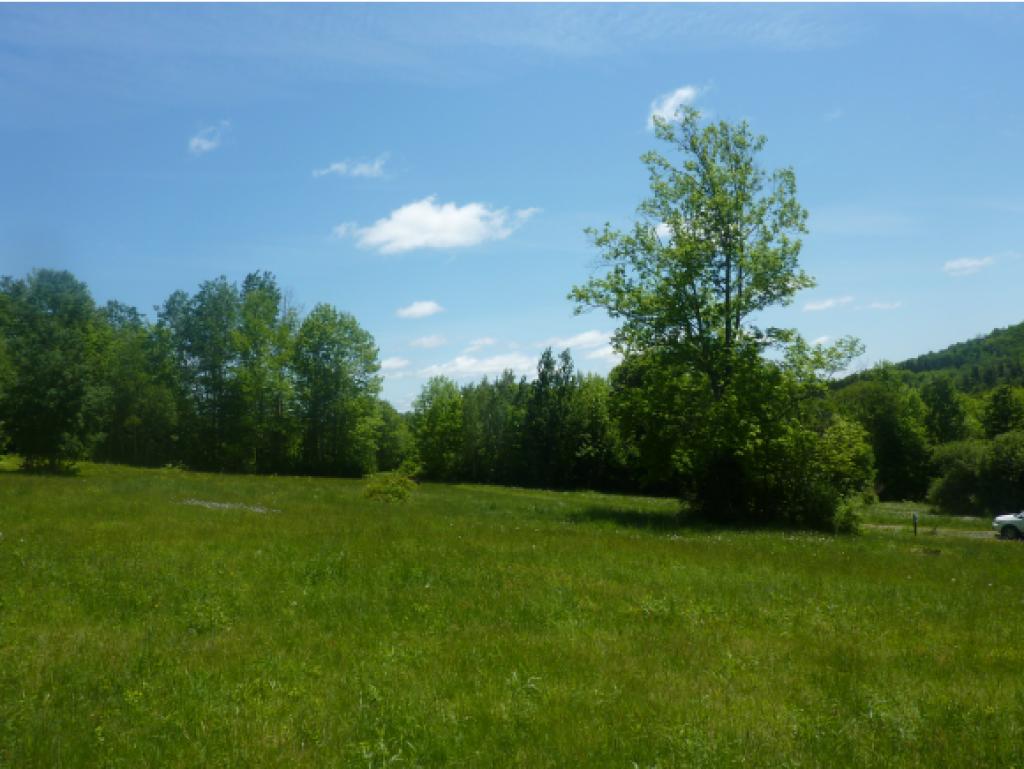 2078 Warren Mountain Road Roxbury, VT 05669 - Photo 5 of 5